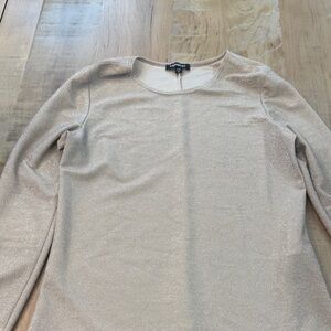 Express  Shimmer Crewneck Sweater in Light Beige